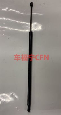 گازی استروت - هود برای مدل S 2012-2021 1062634-00-A